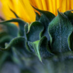 001开奖前后:揭秘幸运号码诞生全过程的台前幕后 xilatn