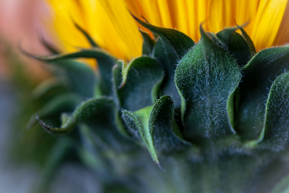 001开奖前后:揭秘幸运号码诞生全过程的台前幕后