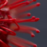 019期开奖时间正式公布敬请关注最新动态 y1mi5