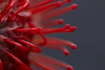 019期开奖时间正式公布敬请关注最新动态