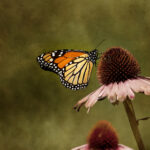 032期开奖号码正式公布结果查询 y2srosn